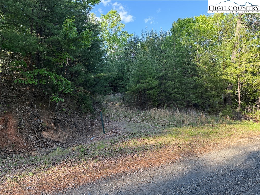 Lot 27 Wolf Pen Road Purlear, NC 28665 - Photo 21 of 48 a view of lake with green space