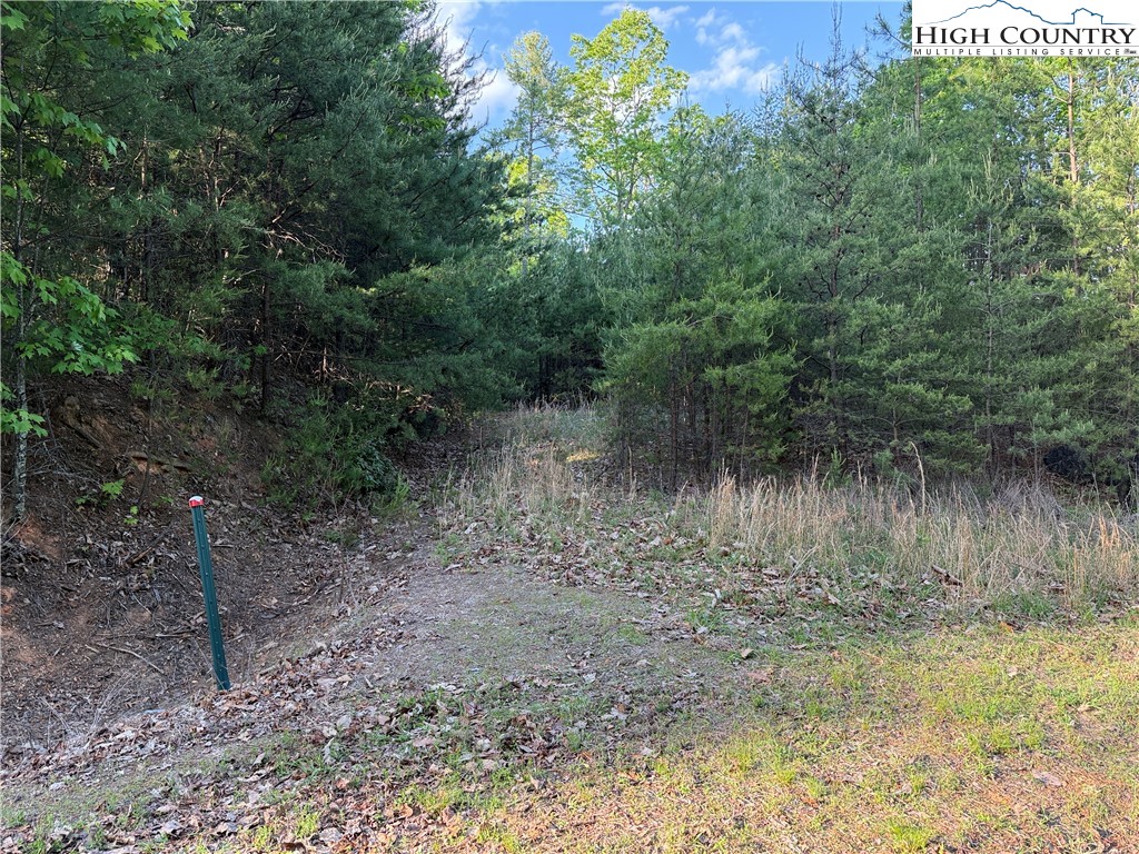 Lot 27 Wolf Pen Road Purlear, NC 28665 - Photo 4 of 48 a view of a lake view