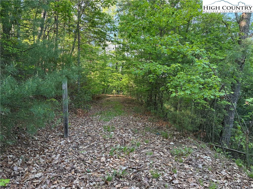 Lot 27 Wolf Pen Road Purlear, NC 28665 - Photo 5 of 48 a view of a forest with a bench