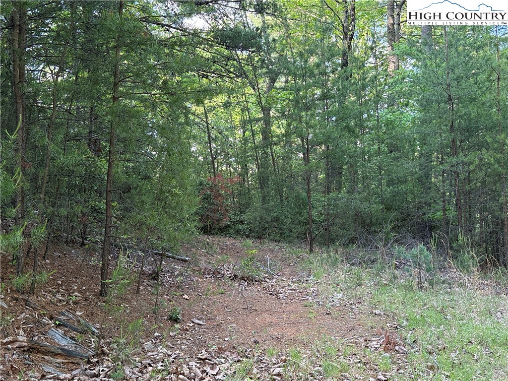 Lot 27 Wolf Pen Road Purlear, NC 28665 - Photo 10 of 48 a view of a forest with trees in the background