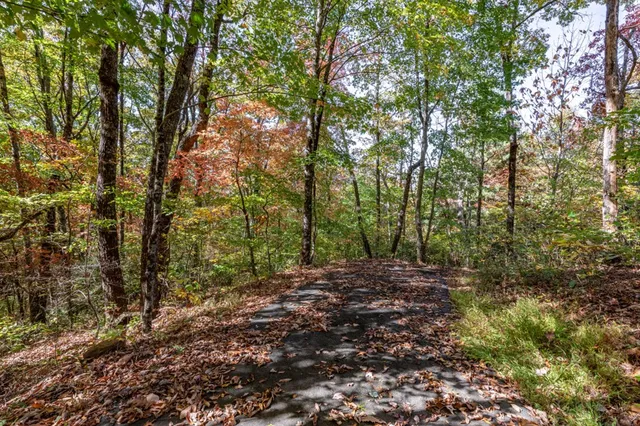$42,000 | Lot 38 Skyview At Wildlife, Hayesville, NC 28904