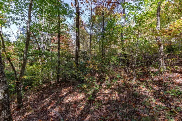 $42,000 | Lot 38 Skyview At Wildlife, Hayesville, NC 28904