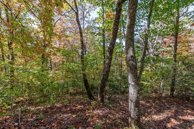 $42,000 | Lot 38 Skyview At Wildlife, Hayesville, NC 28904