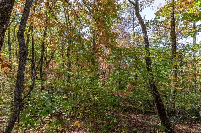 $42,000 | Lot 38 Skyview At Wildlife, Hayesville, NC 28904