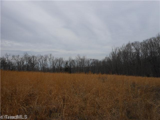 280 Richard Byerly Road High Point, NC 27262 - Photo 3 of 9 Land.