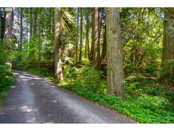 $350,000 | East Zig Zag River Road, Rhododendron, OR 97049