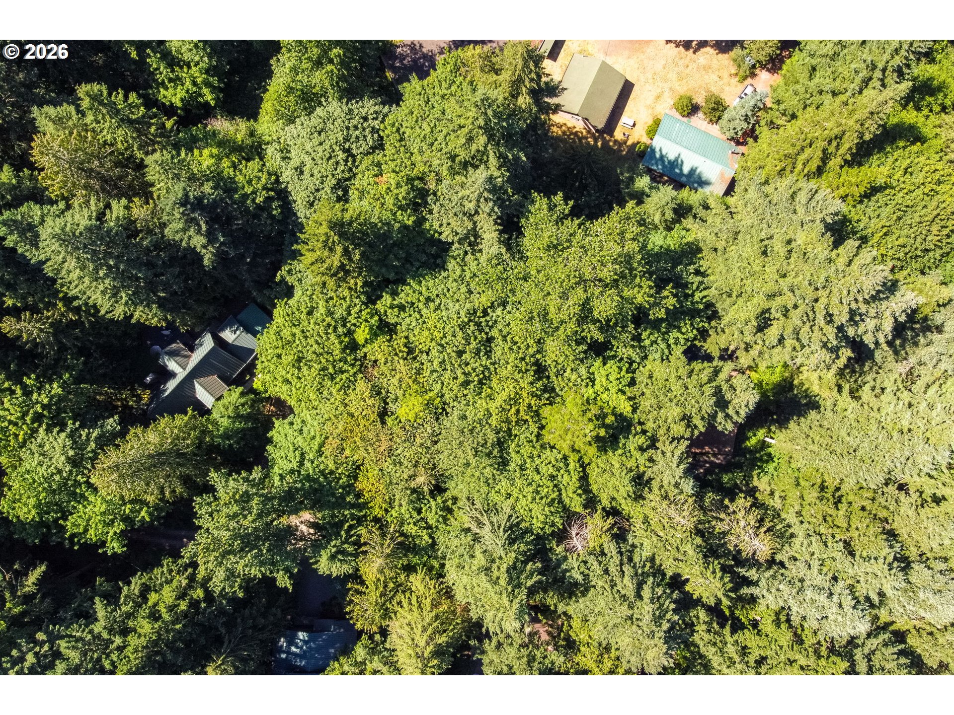 East Zig Zag River Road Rhododendron, OR 97049 - Photo 20 of 24