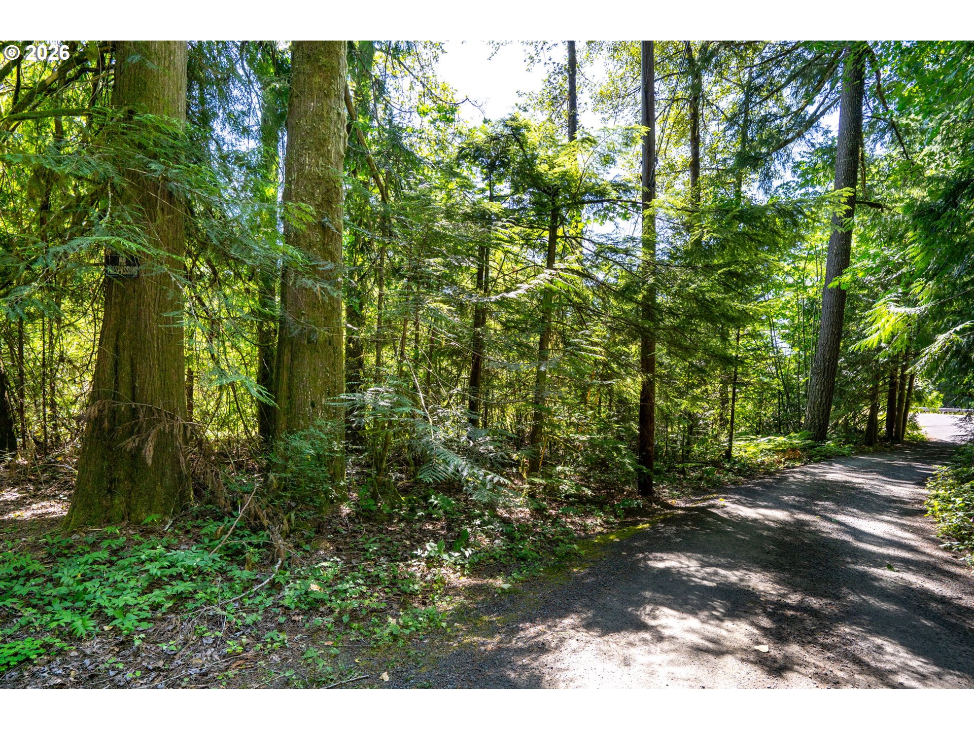 East Zig Zag River Road Rhododendron, OR 97049 - Photo 2 of 24