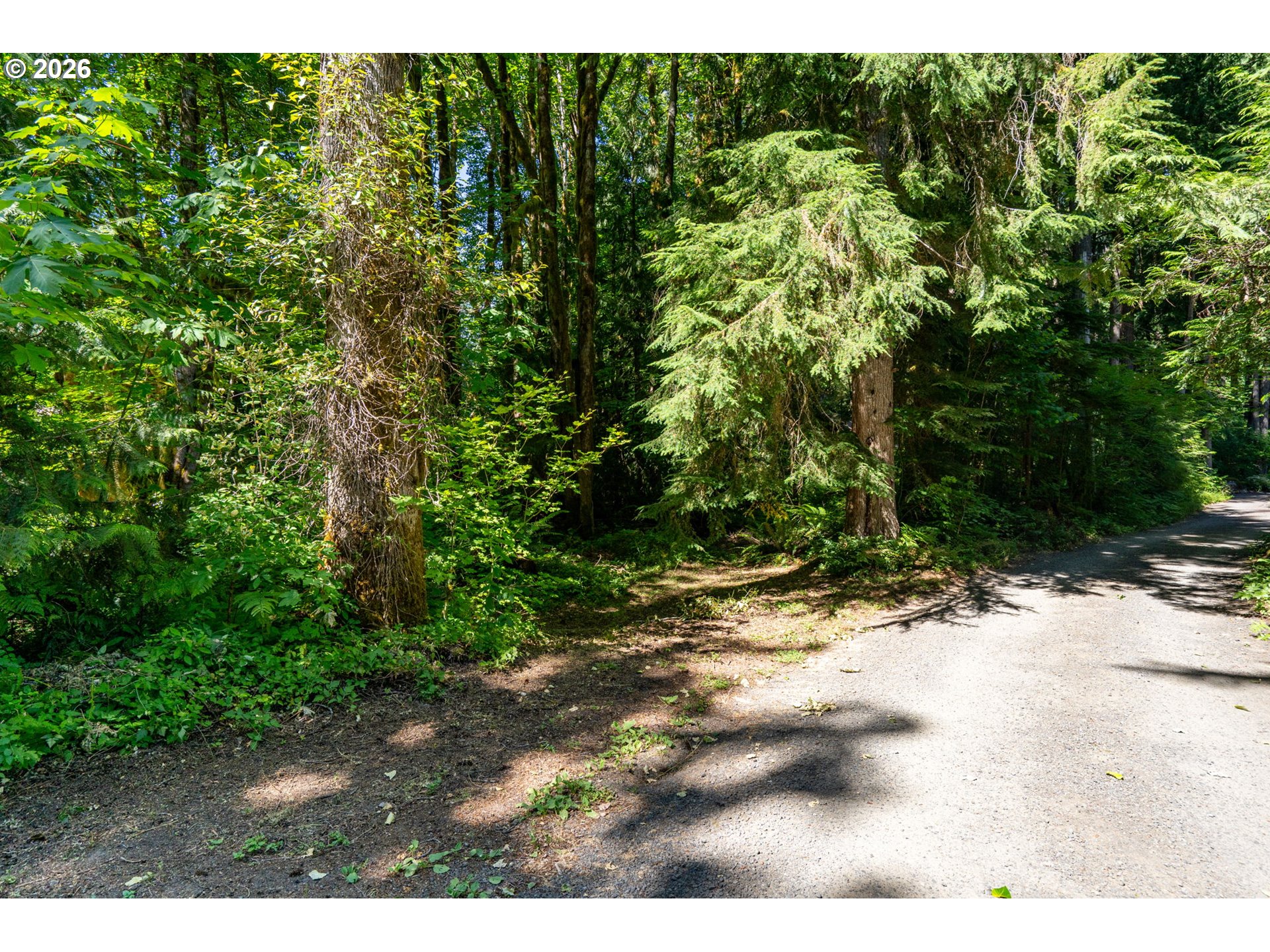 East Zig Zag River Road Rhododendron, OR 97049 - Photo 3 of 24