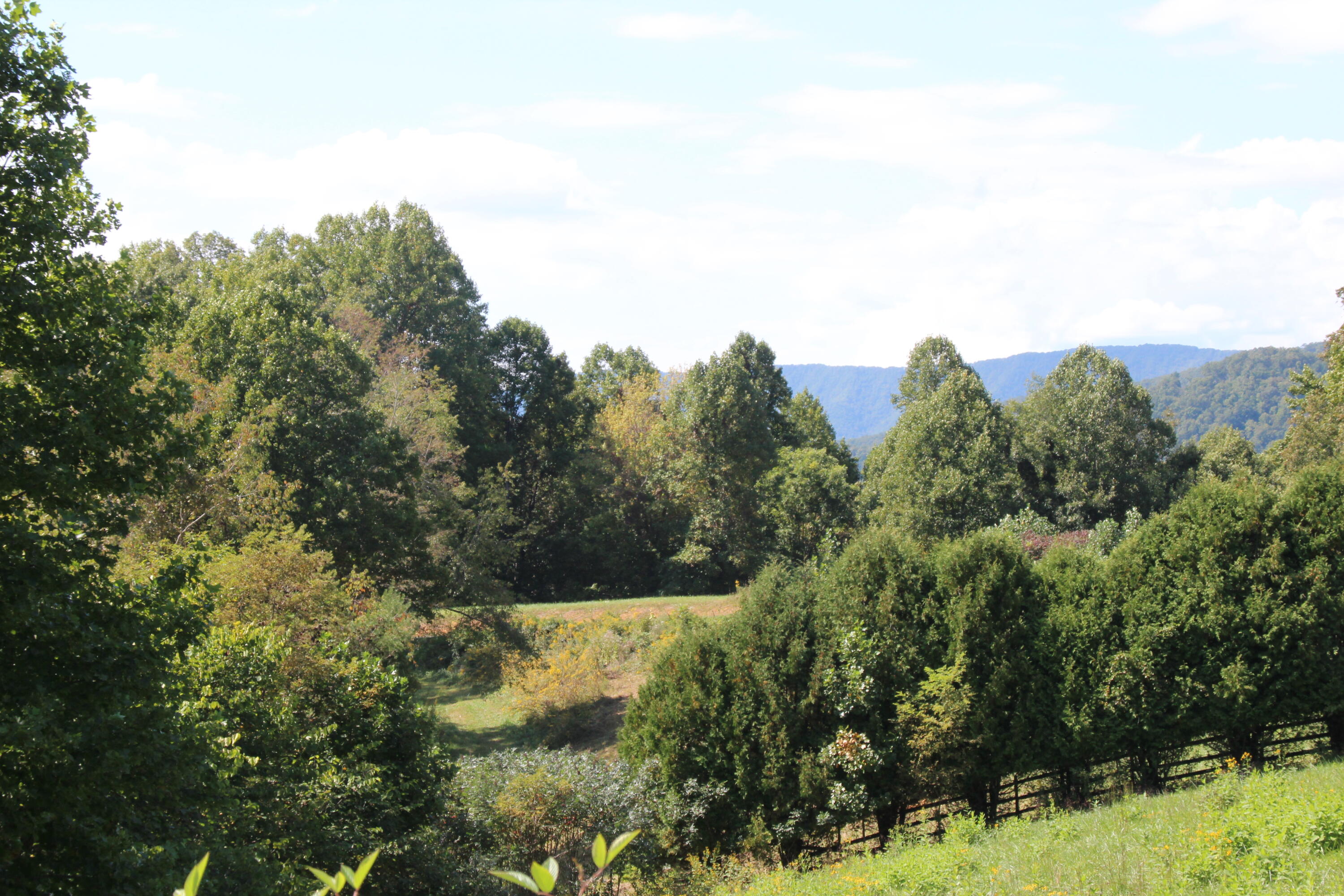 Lot #49 Redbud Circle, Unit 49 Butler, TN 37640 - Photo 1 of 84 PART LEVEL PART SLOPED