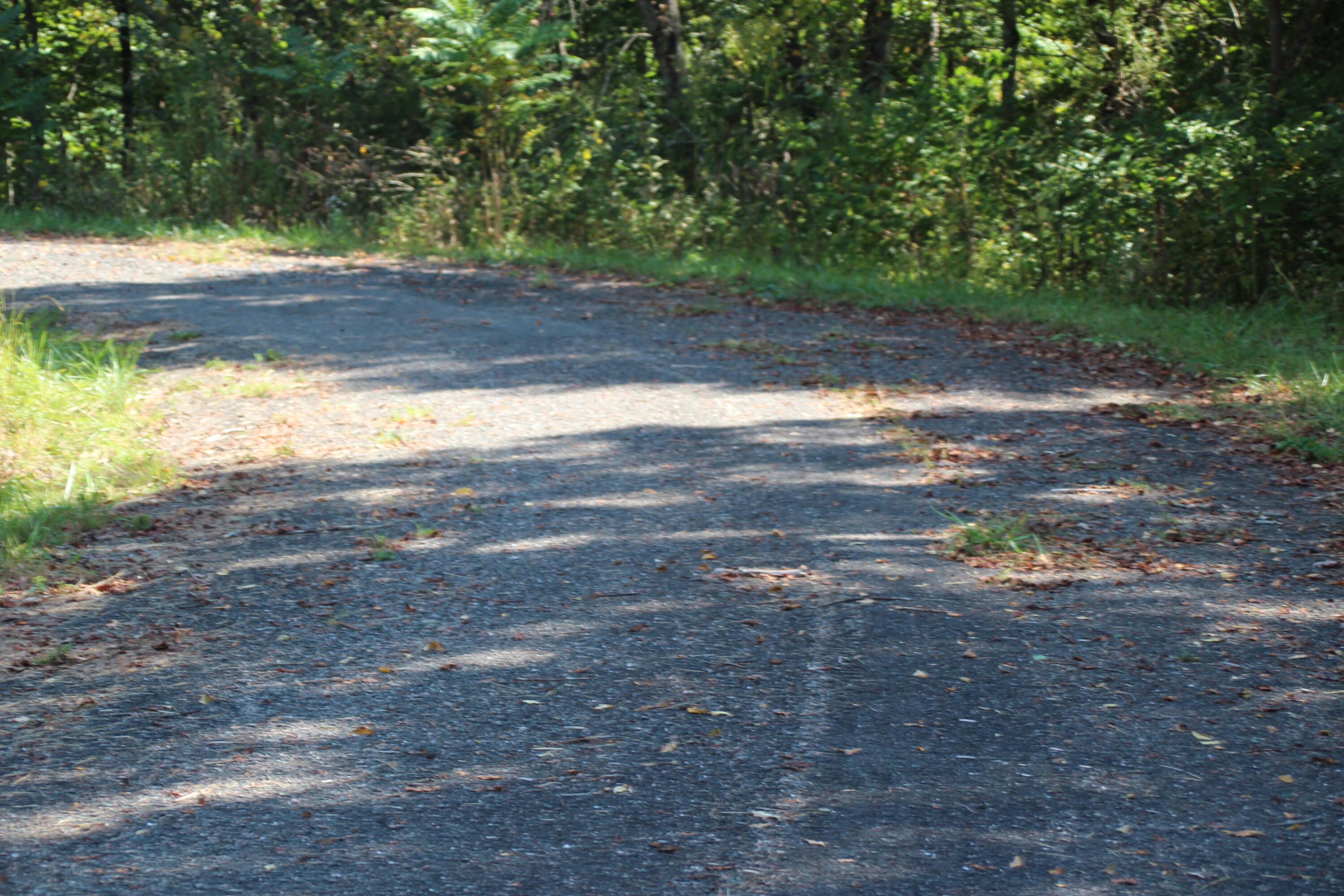Lot #49 Redbud Circle, Unit 49 Butler, TN 37640 - Photo 12 of 84 PAVED ROADS