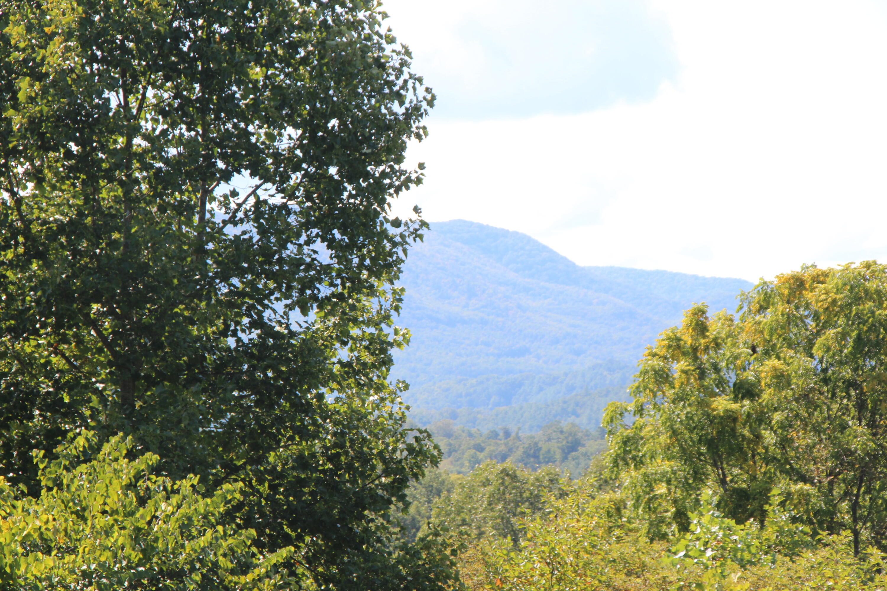 Lot #49 Redbud Circle, Unit 49 Butler, TN 37640 - Photo 15 of 84 MORE MOUNTAIN VIEWS!