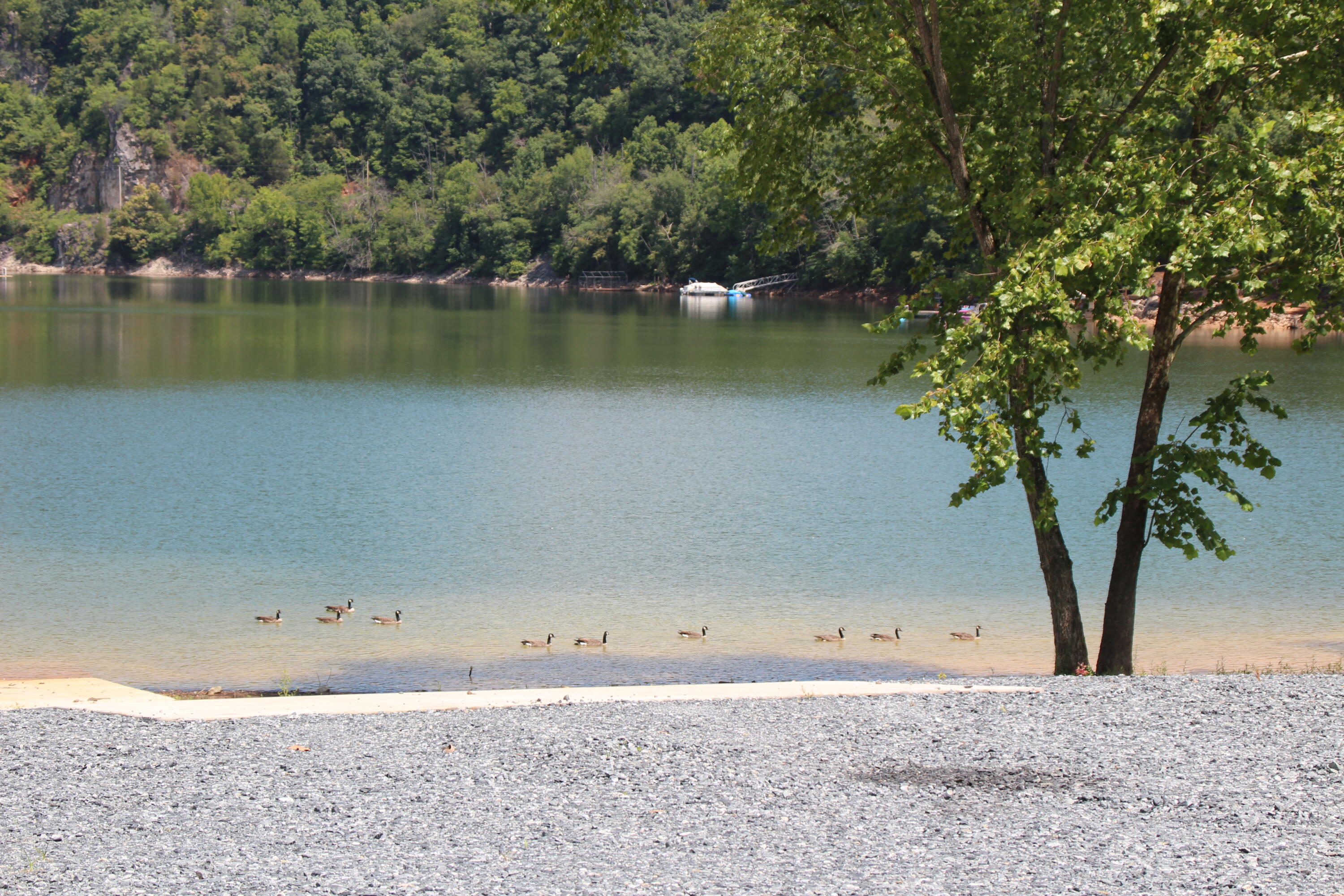 Lot #49 Redbud Circle, Unit 49 Butler, TN 37640 - Photo 21 of 84 LAKE ACCESS TO SWIMMING