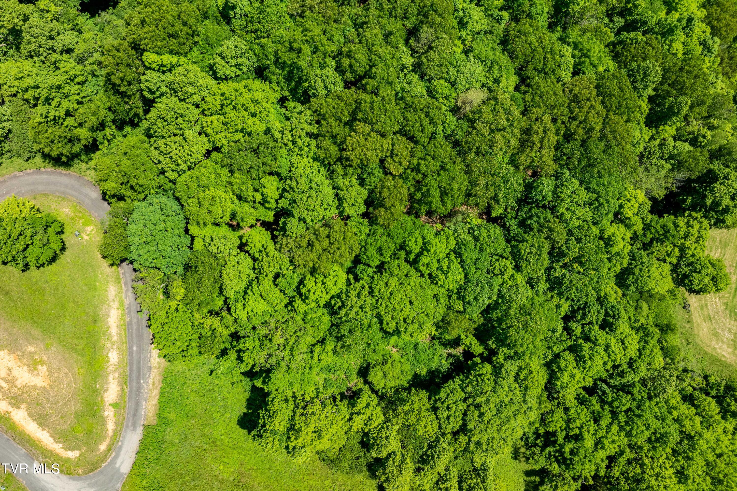 Lot #49 Redbud Circle, Unit 49 Butler, TN 37640 - Photo 23 of 84 TBD Lot 49 Watauga Ridge Rd (2 of 63)