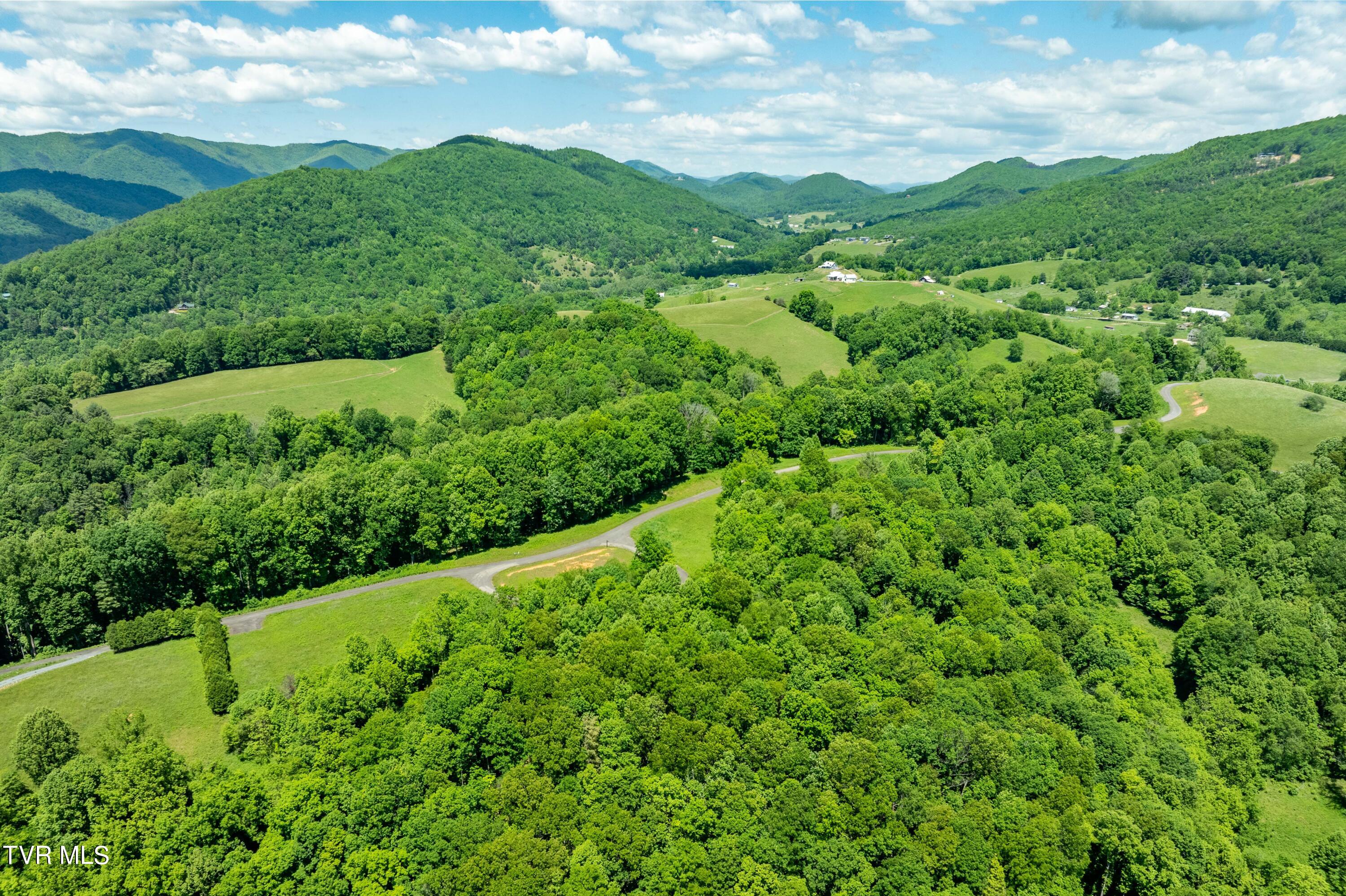 Lot #49 Redbud Circle, Unit 49 Butler, TN 37640 - Photo 32 of 84 TBD Lot 49 Watauga Ridge Rd (11 of 63)