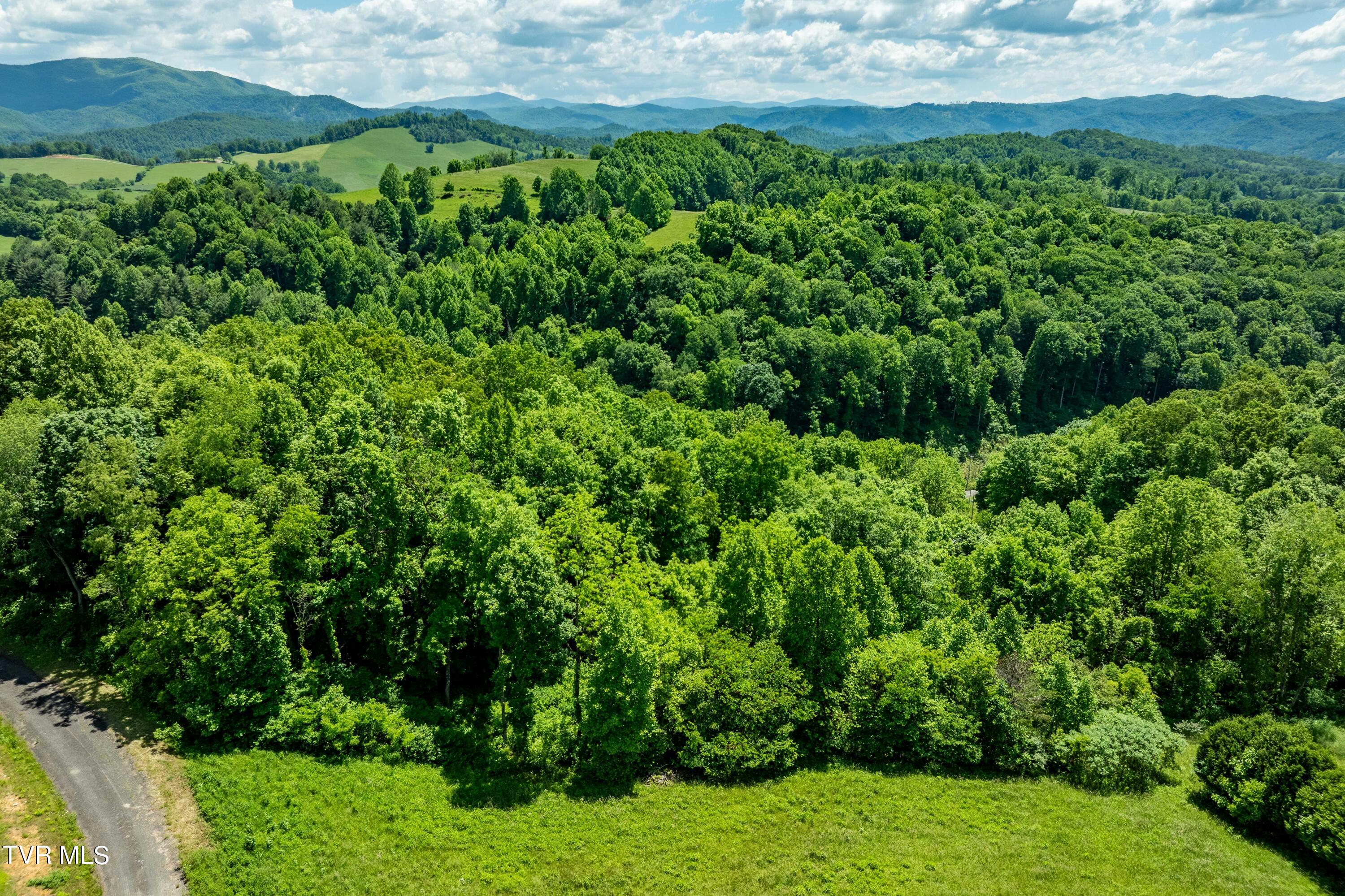 Lot #49 Redbud Circle, Unit 49 Butler, TN 37640 - Photo 38 of 84 TBD Lot 49 Watauga Ridge Rd (17 of 63)