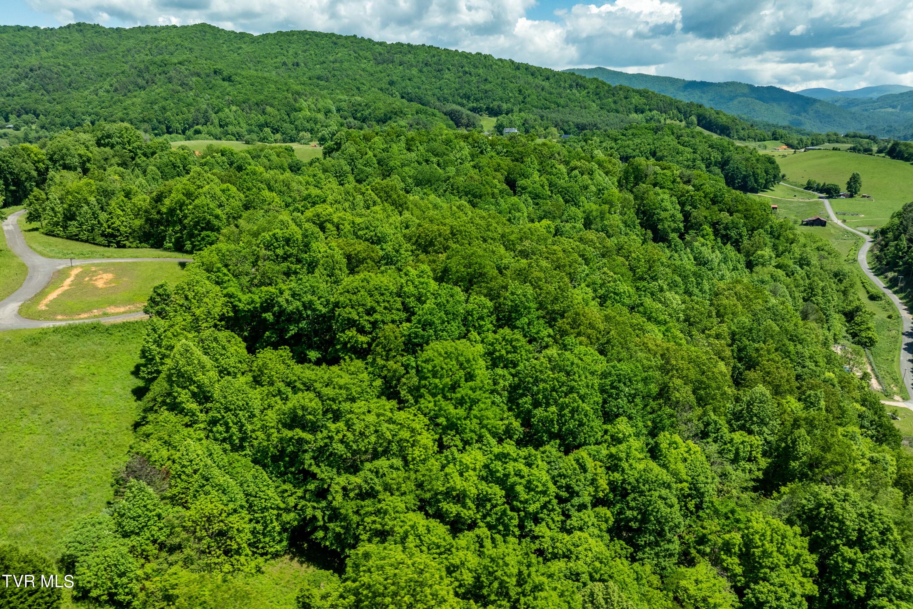 Lot #49 Redbud Circle, Unit 49 Butler, TN 37640 - Photo 40 of 84 TBD Lot 49 Watauga Ridge Rd (19 of 63)