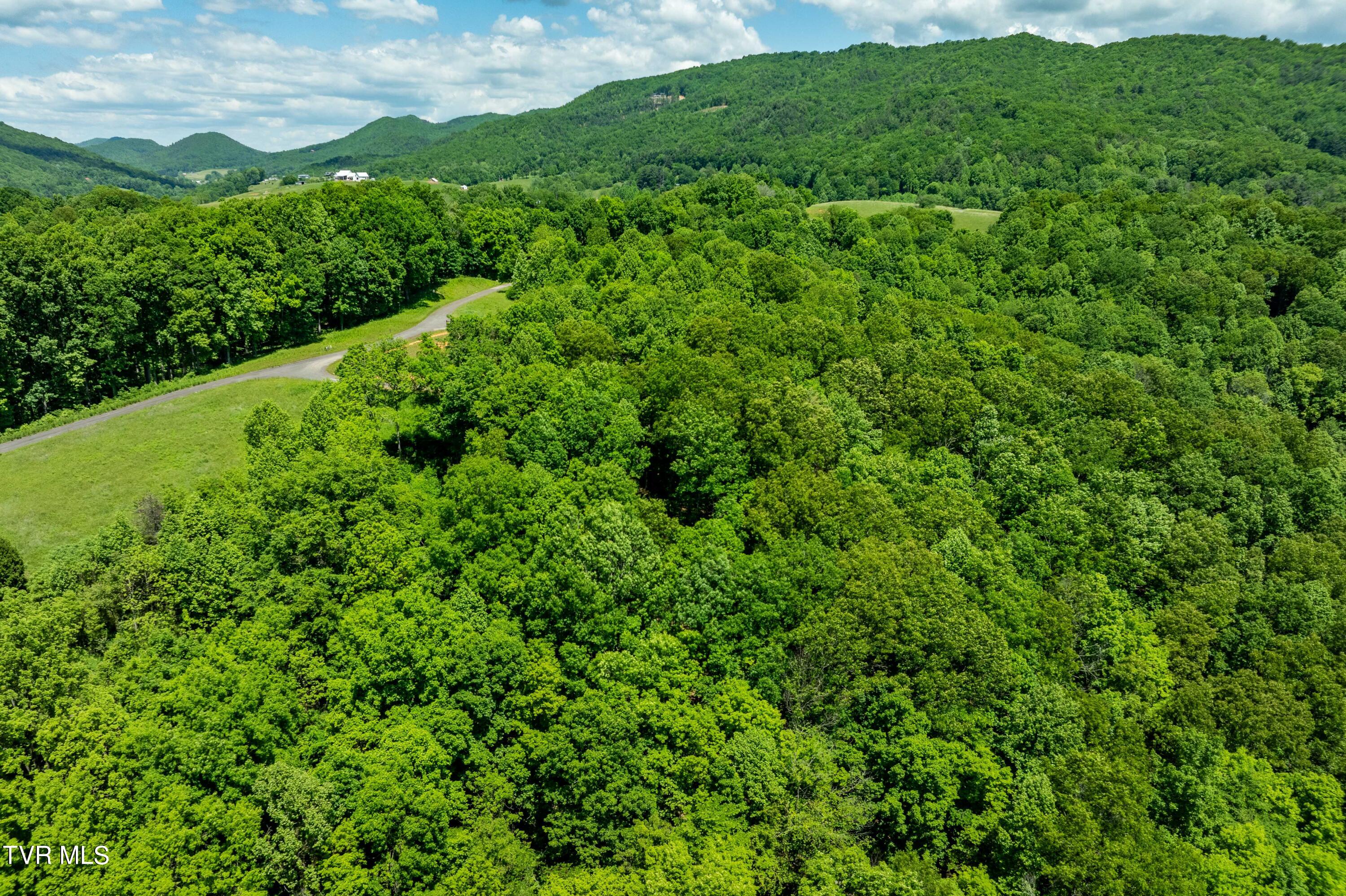 Lot #49 Redbud Circle, Unit 49 Butler, TN 37640 - Photo 41 of 84 TBD Lot 49 Watauga Ridge Rd (20 of 63)