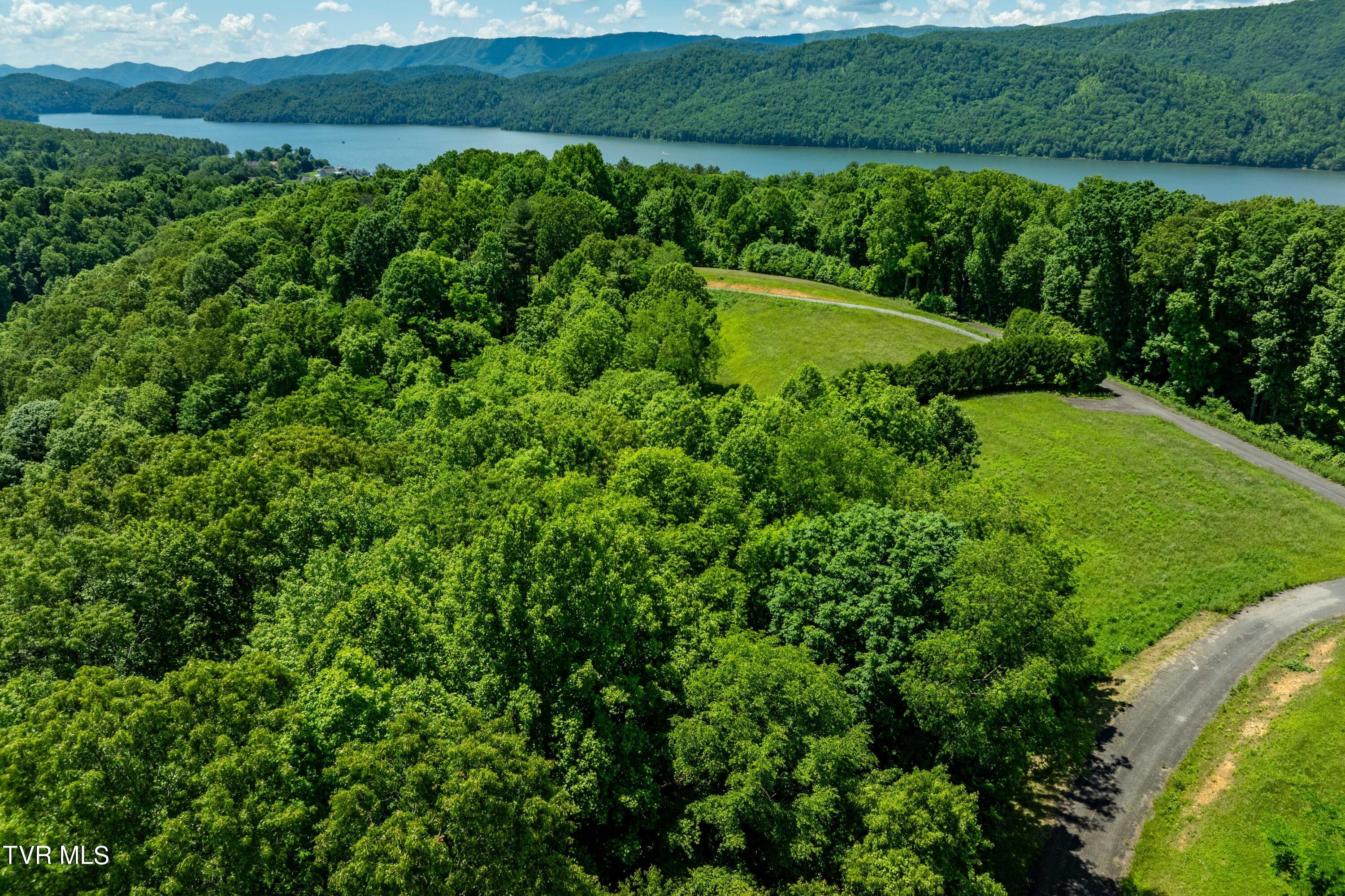 Lot #49 Redbud Circle, Unit 49 Butler, TN 37640 - Photo 42 of 84 TBD Lot 49 Watauga Ridge Rd (21 of 63)