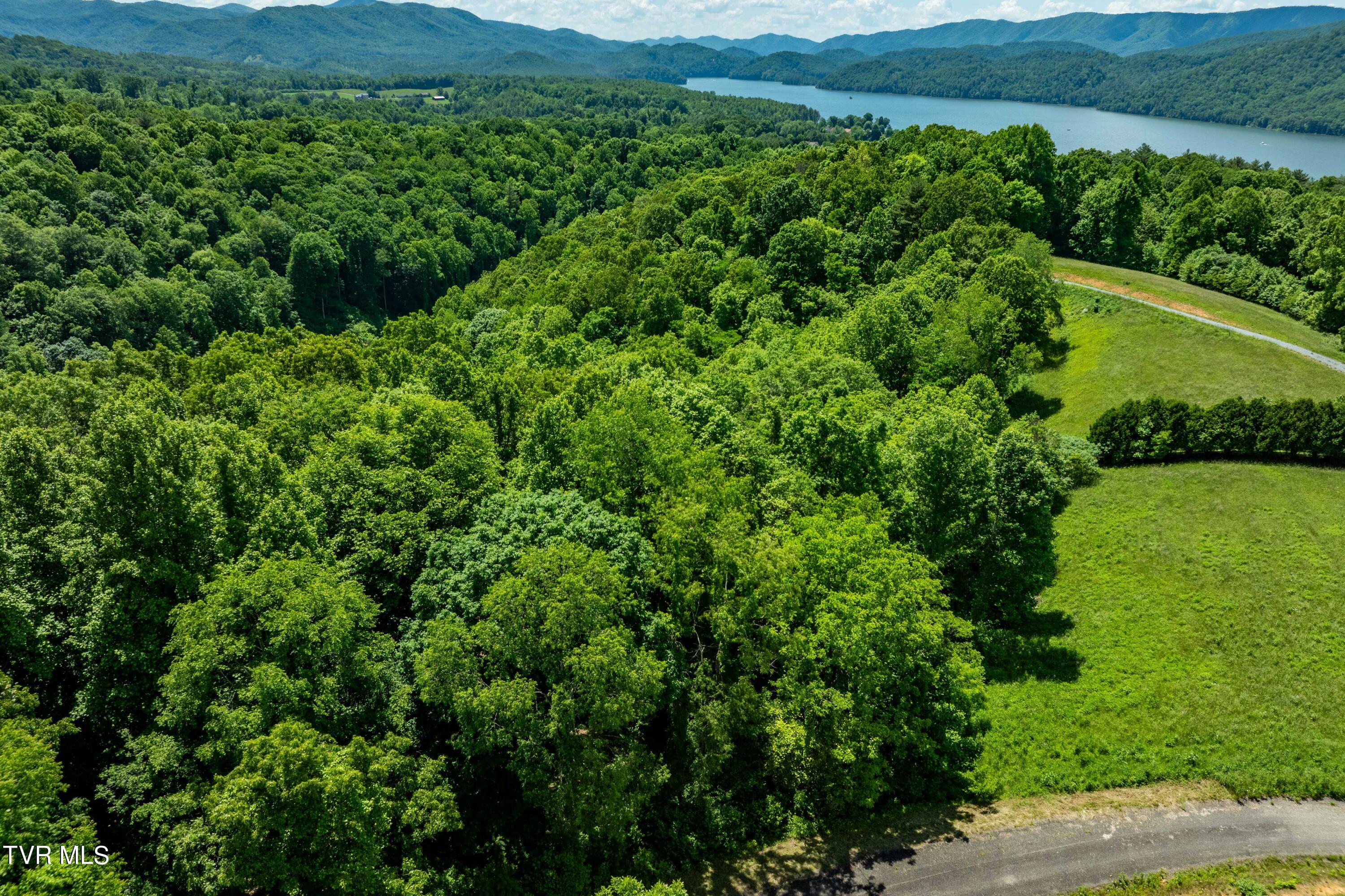 Lot #49 Redbud Circle, Unit 49 Butler, TN 37640 - Photo 43 of 84 TBD Lot 49 Watauga Ridge Rd (22 of 63)