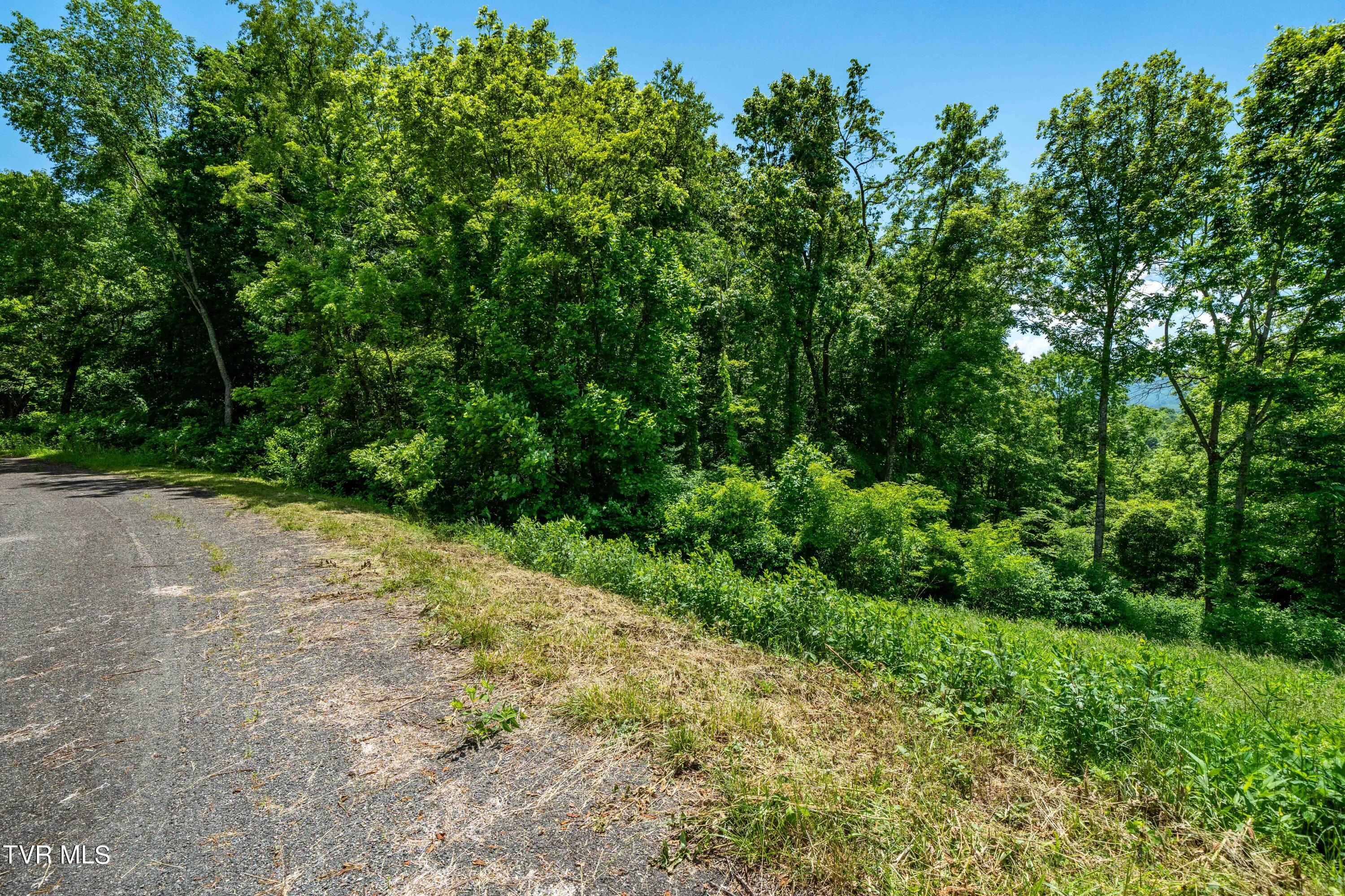 Lot #49 Redbud Circle, Unit 49 Butler, TN 37640 - Photo 44 of 84 TBD Lot 49 Watauga Ridge Rd (23 of 63)