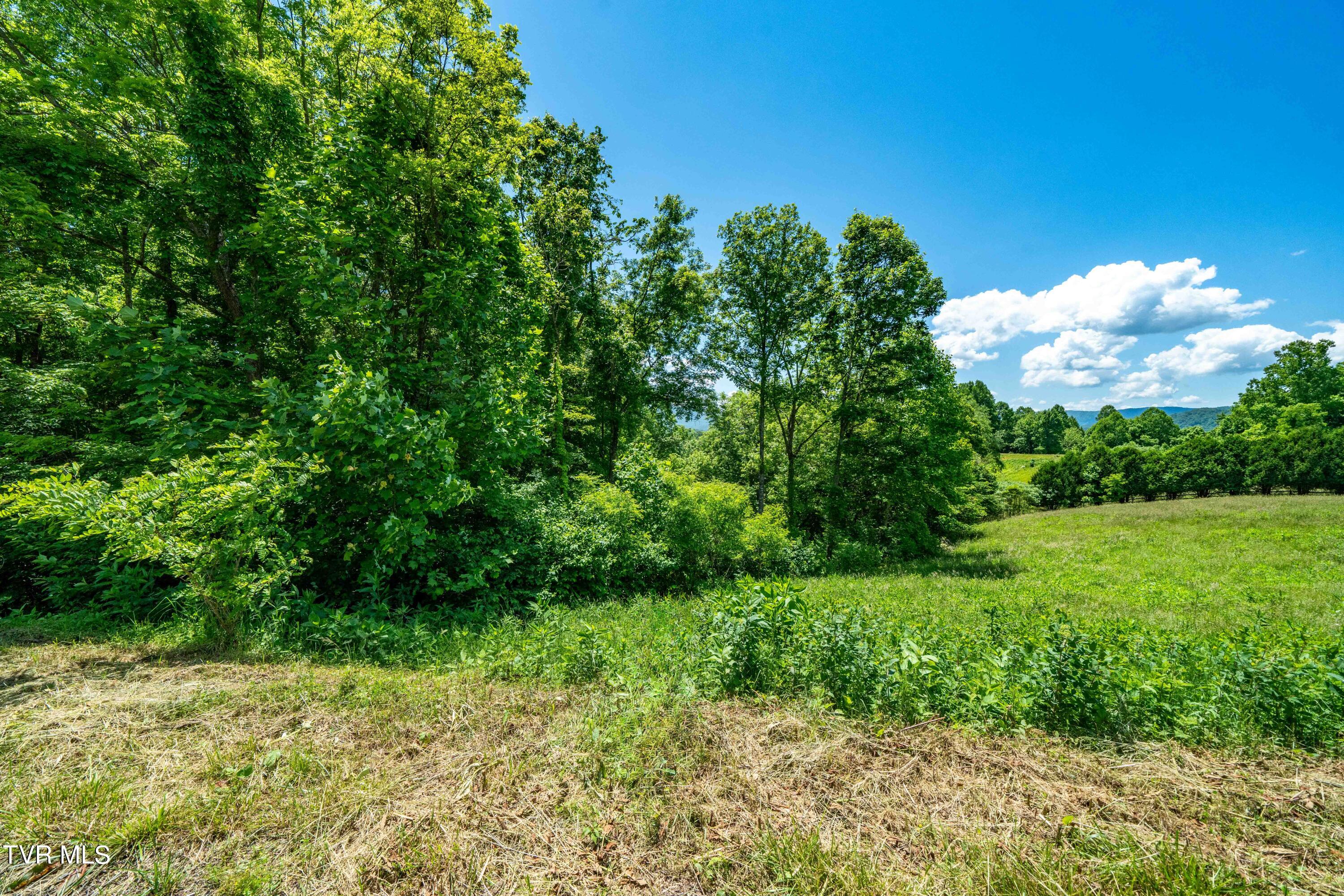 Lot #49 Redbud Circle, Unit 49 Butler, TN 37640 - Photo 45 of 84 TBD Lot 49 Watauga Ridge Rd (24 of 63)