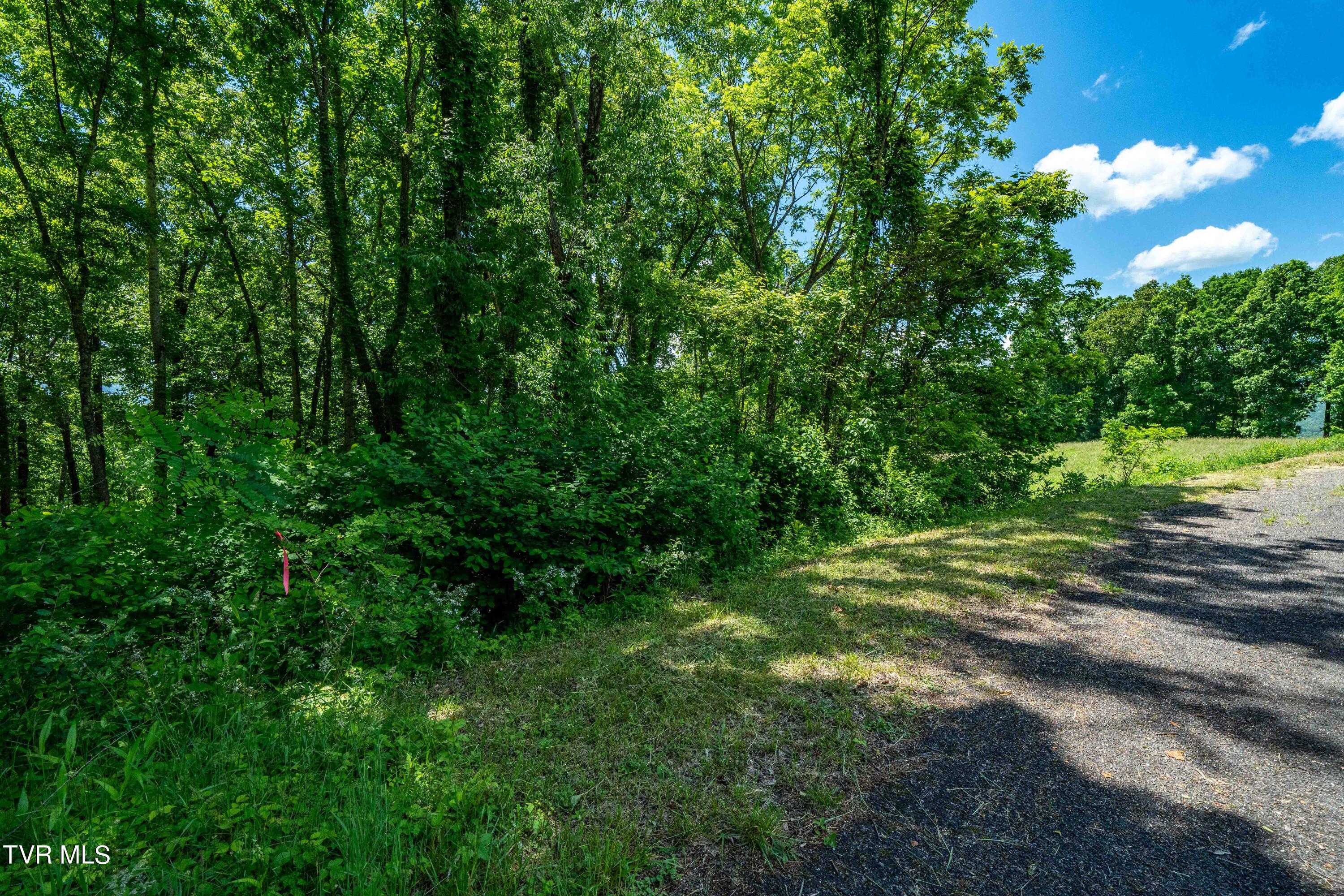 Lot #49 Redbud Circle, Unit 49 Butler, TN 37640 - Photo 46 of 84 TBD Lot 49 Watauga Ridge Rd (25 of 63)