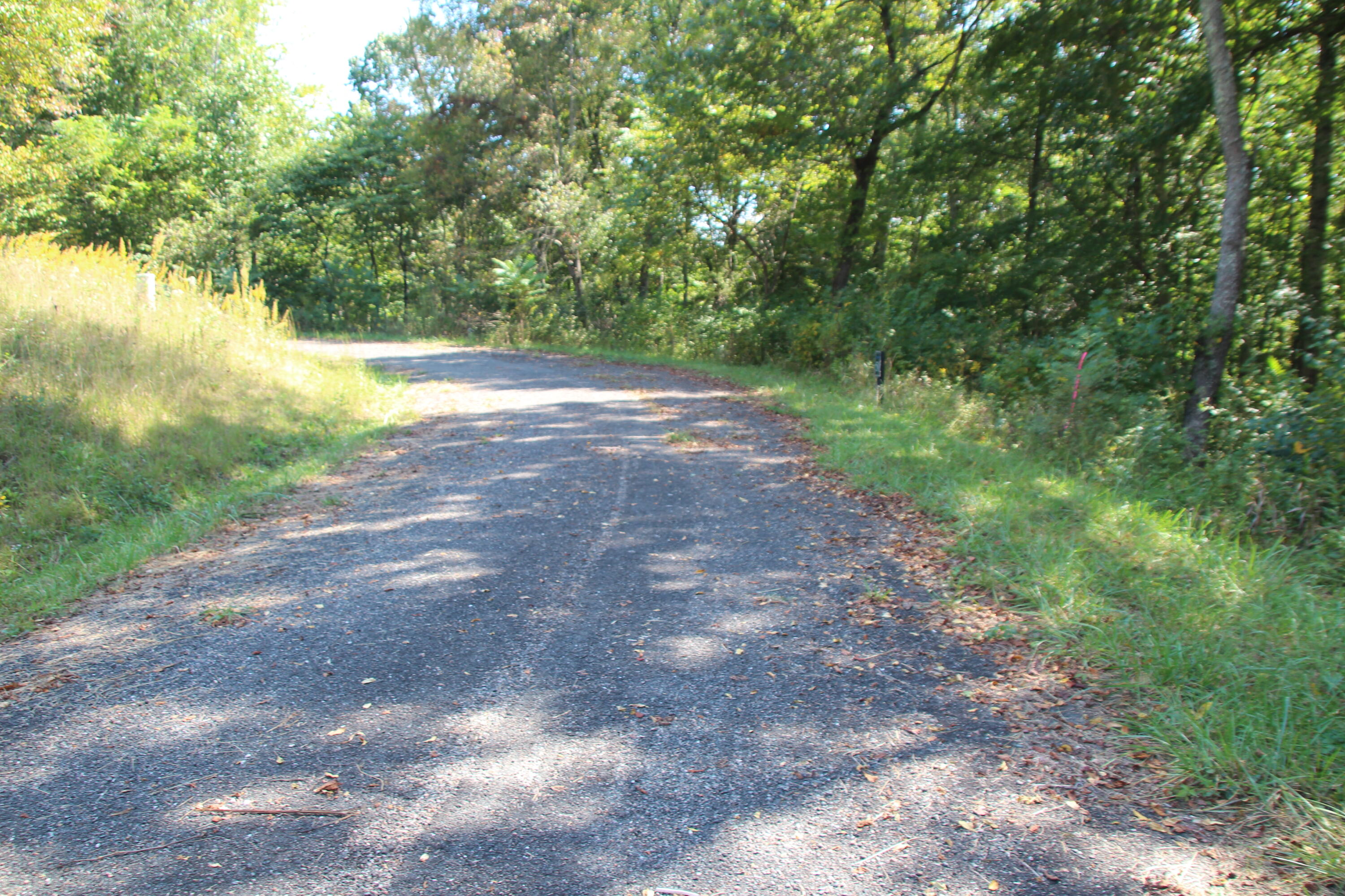 Lot #49 Redbud Circle, Unit 49 Butler, TN 37640 - Photo 9 of 84 UNDERGROUND UTILITIES