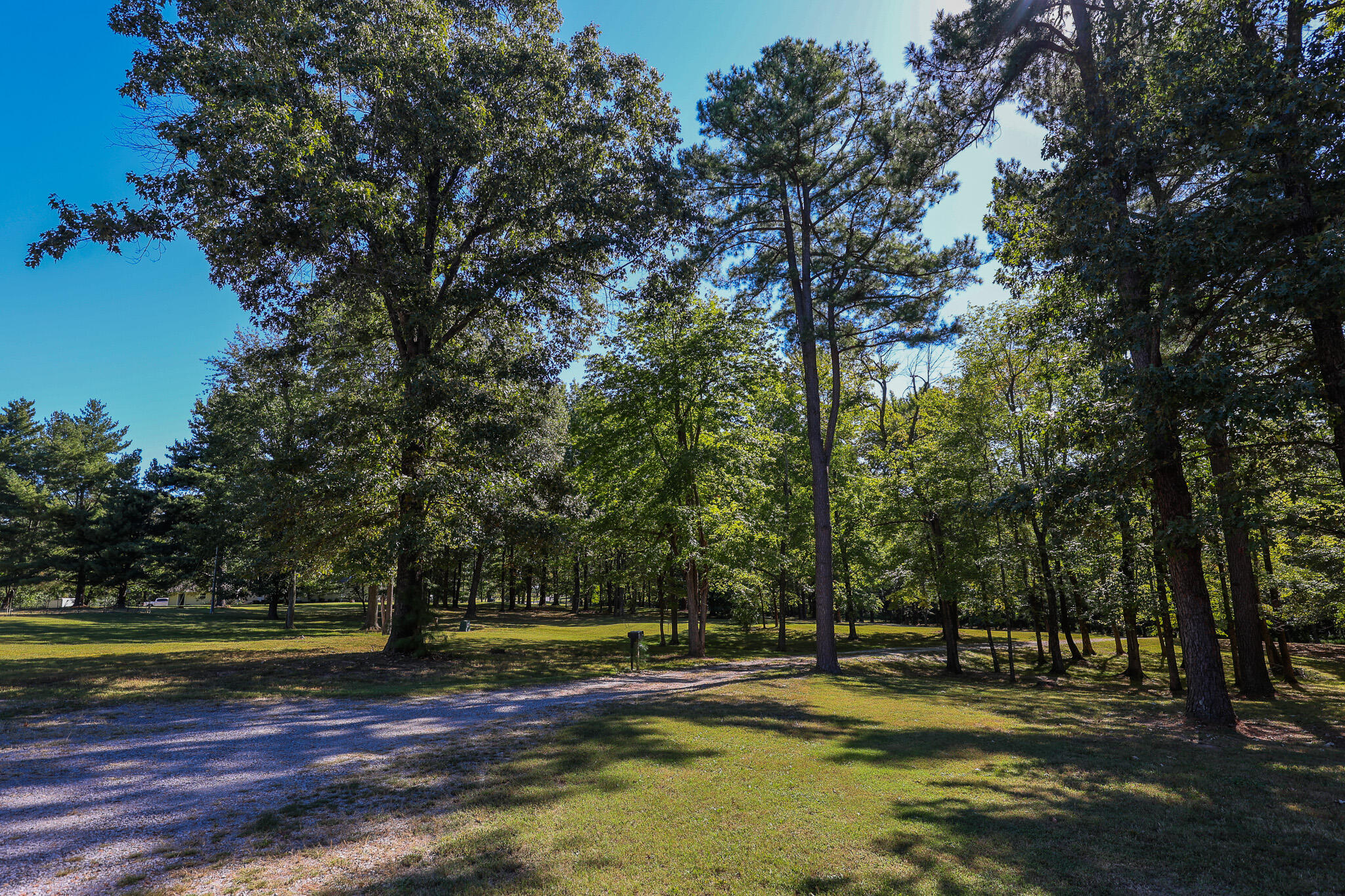 875 Mayfield Metropolis Road Paducah, KY 42001 - Photo 52 of 59 Mature Trees