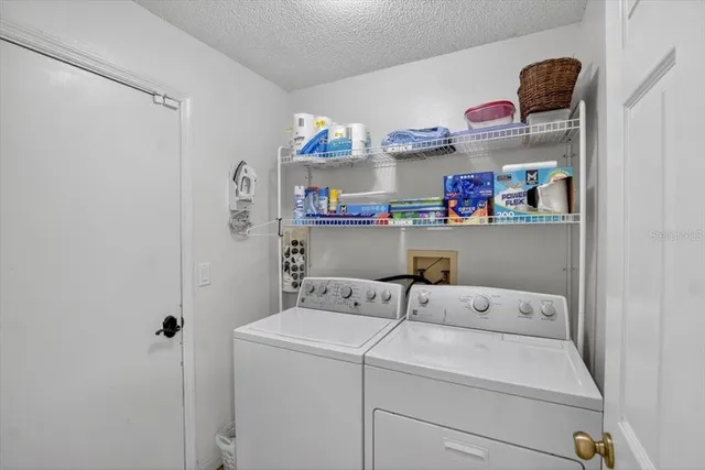 a view of a backyard with large trees and wooden fence