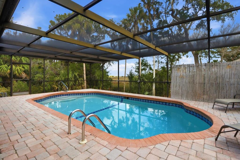 4601 South Gator Loop Homosassa, FL 34448 - Photo 3 of 49 a view of a swimming pool with a patio