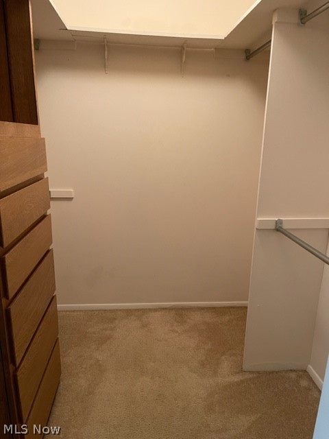 32973 Mills Road North Ridgeville, OH 44039 - Photo 9 of 16 The suite has a walk in closet