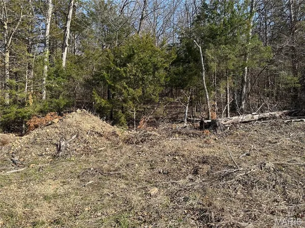 $6,500 | 0 Lake Shore Drive, Owensville, MO 65066