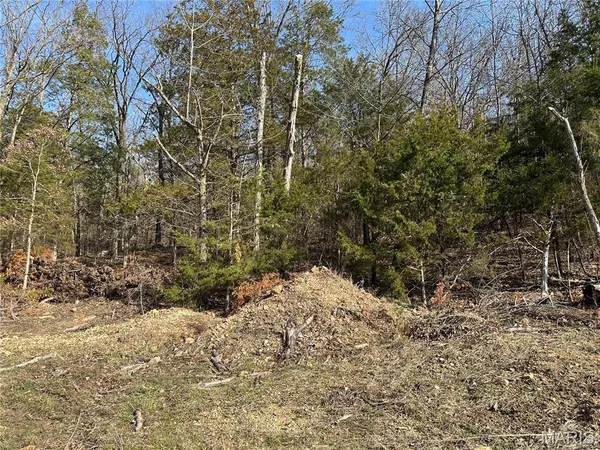 $6,500 | 0 Lake Shore Drive, Owensville, MO 65066