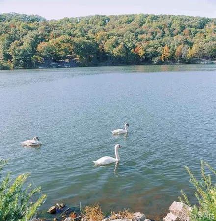 $6,500 | 0 Lake Shore Drive, Owensville, MO 65066