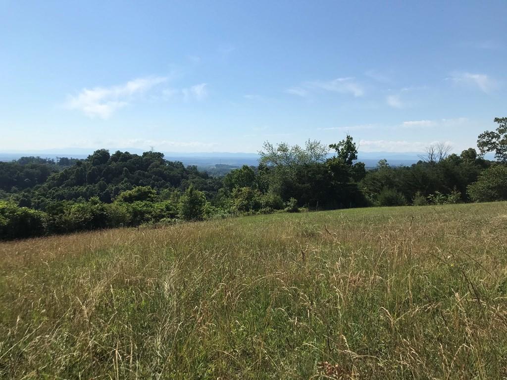 0 East Croxdale Road Morristown, TN 37813 - Photo 6 of 16 602418_5