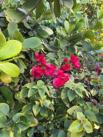 $429,000 | 5721 10th Avenue North, St. Petersburg, FL 33710