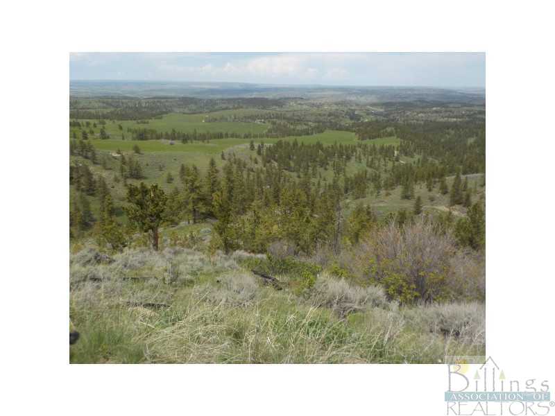 246-acres Shane Ridge Road Columbus, MT 59019 - Photo 1 of 1 Gallery Image 1