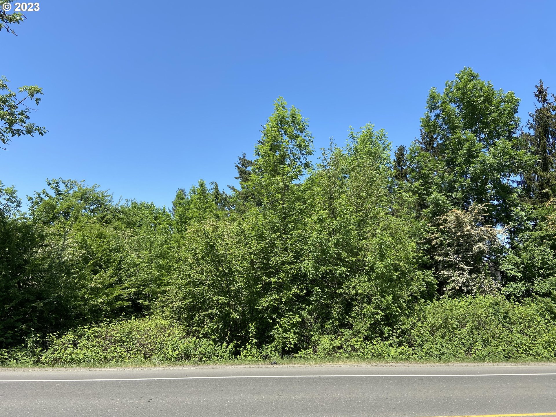 Farmington Road Aloha, OR 97078 - Photo 1 of 3 Gallery Image 1