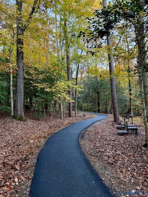 9002 Spring Green Loop Mechanicsville, VA 23116 - Photo 43 of 47 View of home's community