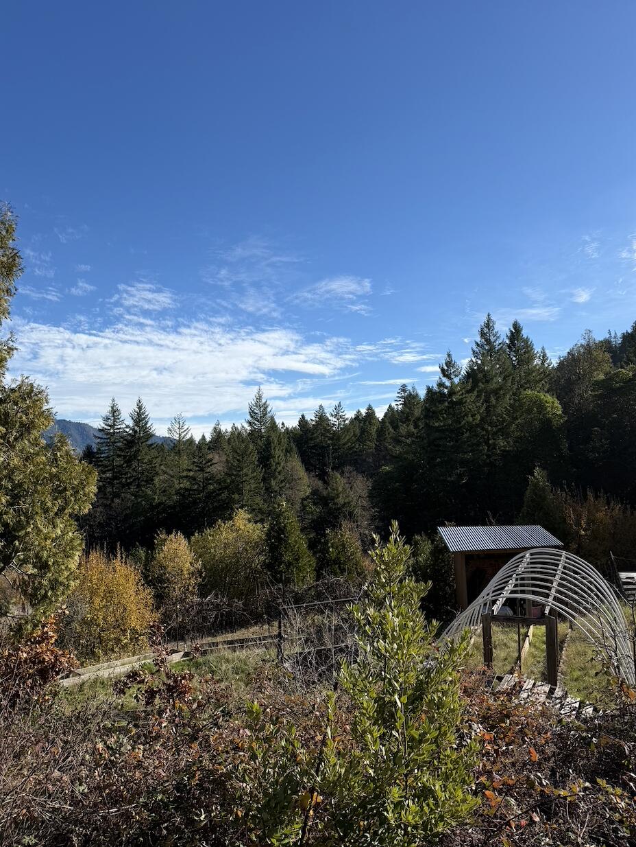 579 Hennessey View Burnt Ranch, CA 95527 - Photo 35 of 54