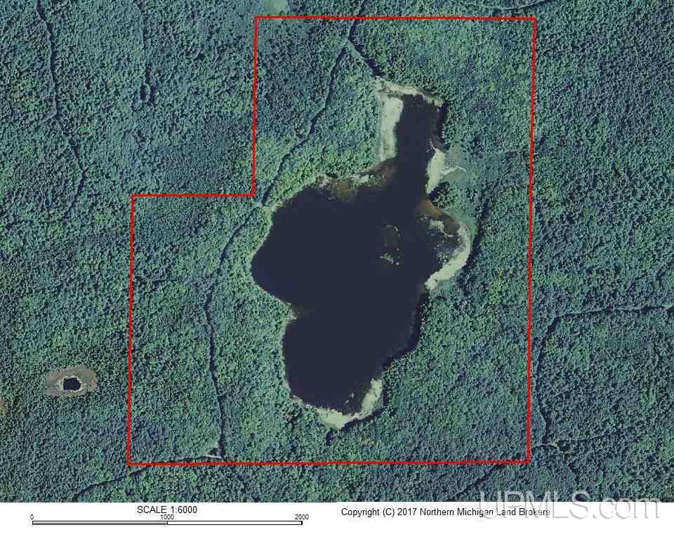 Clark Lake Jack Spurr Road Wakefield, MI 49968 - Photo 19 of 20