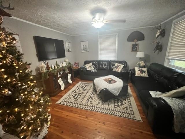 3016 Lyndhurst Road Stuarts Draft, VA 24477 - Photo 2 of 15 a living room with furniture and a flat screen tv