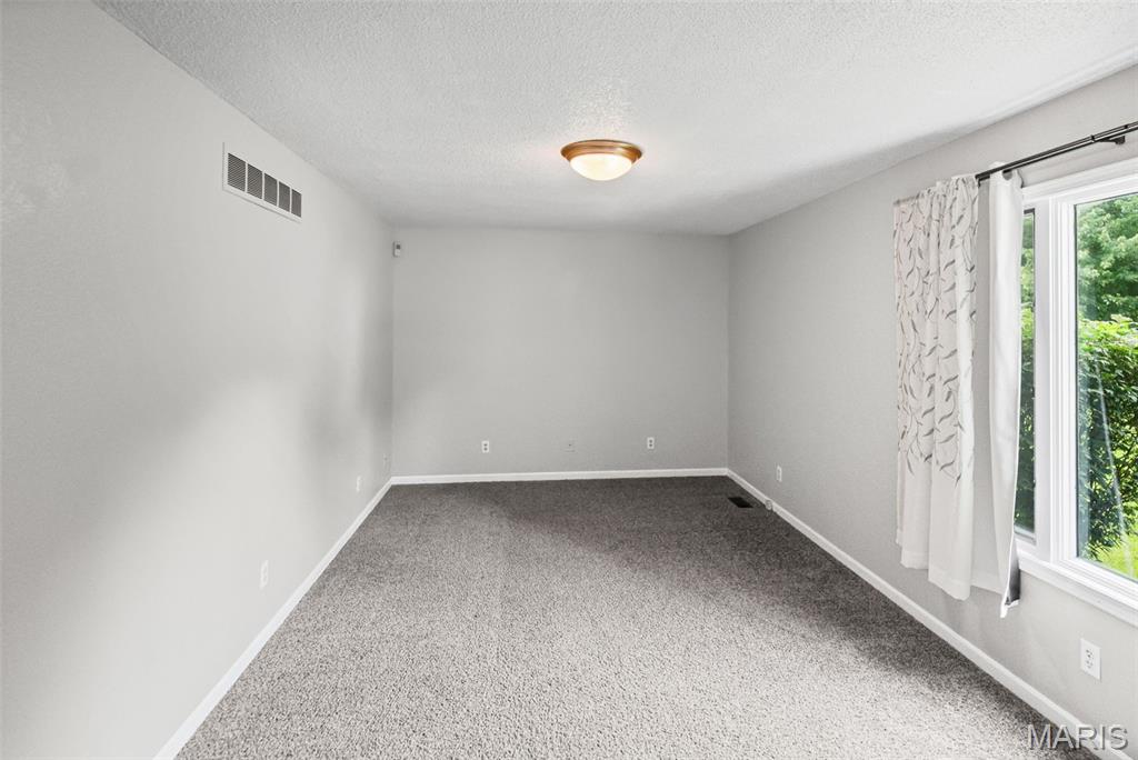 425 Weatherstone Drive Belleville, IL 62221 - Photo 8 of 47
