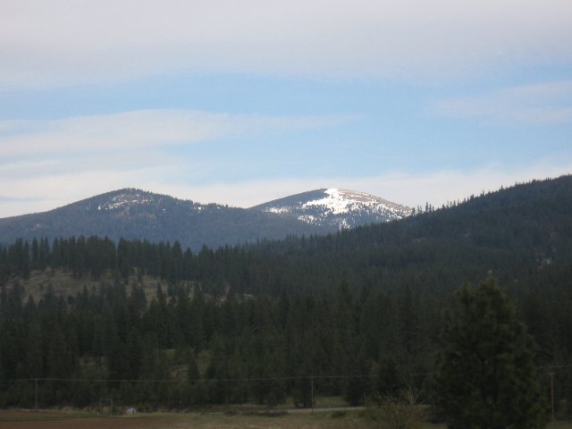 12015 East Randall Road Mead, WA 99021 - Photo 8 of 9 Gallery Image 8