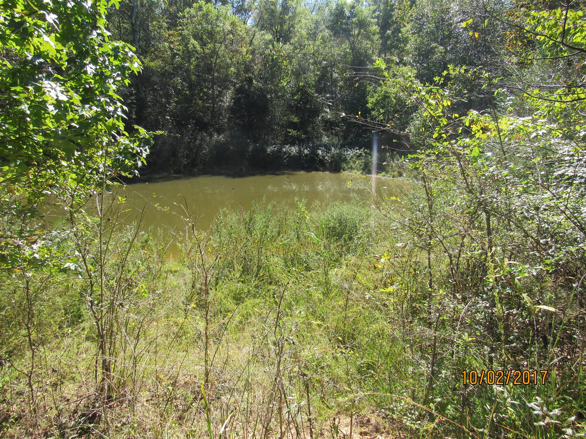 0 Enterprise Road Mount Pleasant, TN 38474 - Photo 11 of 21 Gallery Image 11