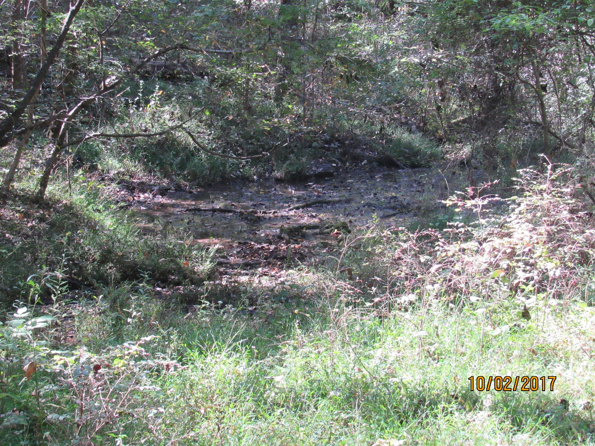 0 Enterprise Road Mount Pleasant, TN 38474 - Photo 12 of 21 Gallery Image 12