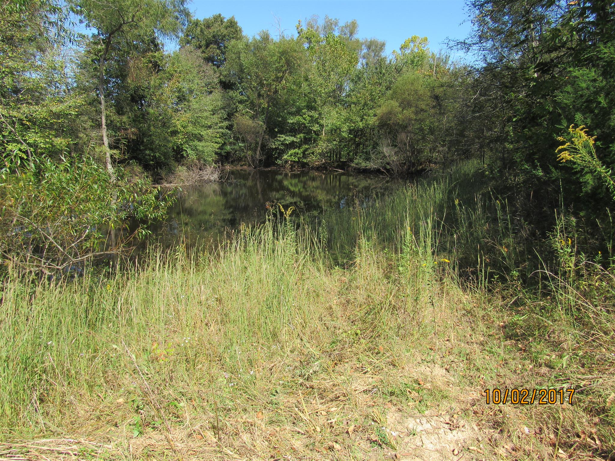 0 Enterprise Road Mount Pleasant, TN 38474 - Photo 13 of 21 Gallery Image 13