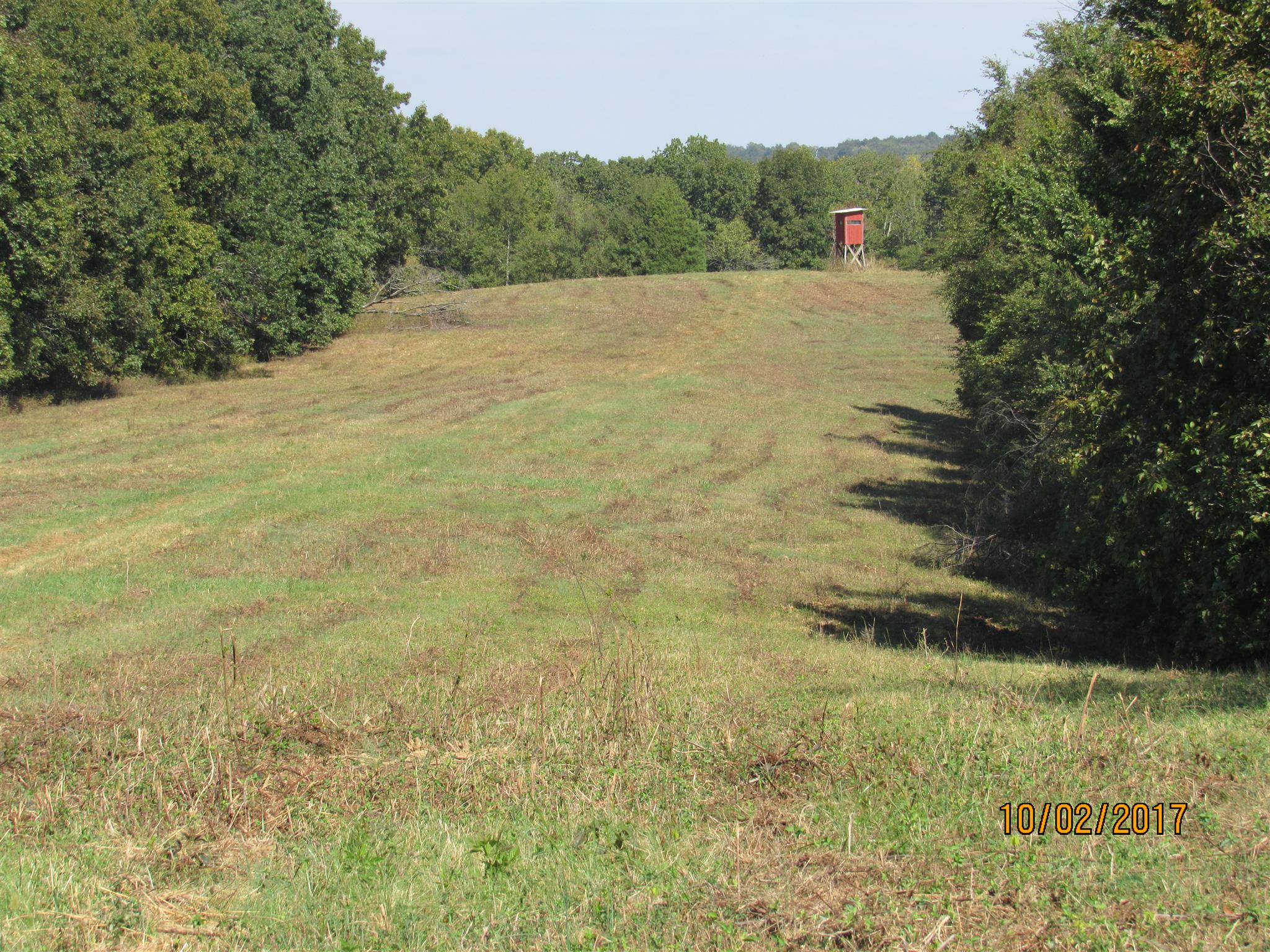0 Enterprise Road Mount Pleasant, TN 38474 - Photo 14 of 21 Gallery Image 14