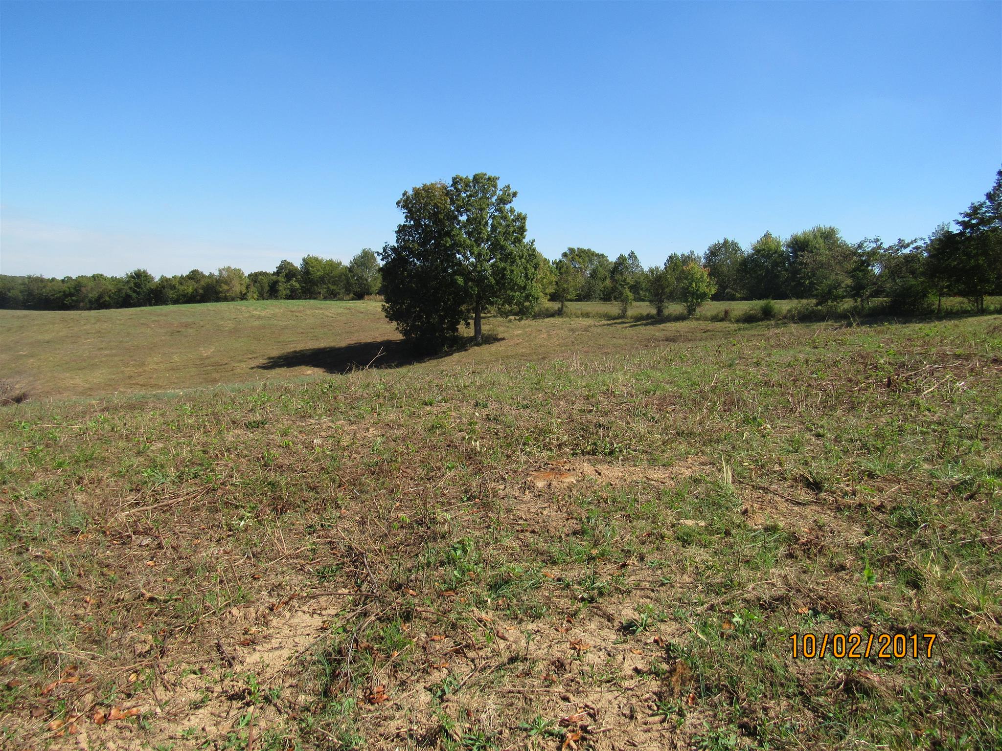 0 Enterprise Road Mount Pleasant, TN 38474 - Photo 18 of 21 Gallery Image 18
